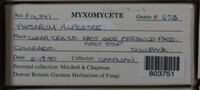 Image Associated With the Occurence